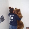 saib_orso01