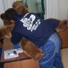 saib_orso02